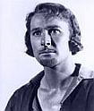 Errol Flynn as Robin Hood