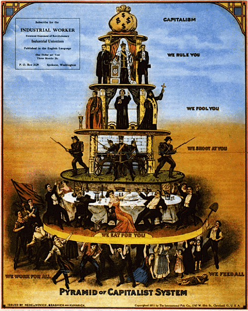 Piramide ecologica - Wikipedia