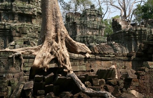 Una struttura verticale, ad albero, cresciuta sulle nostre rovine