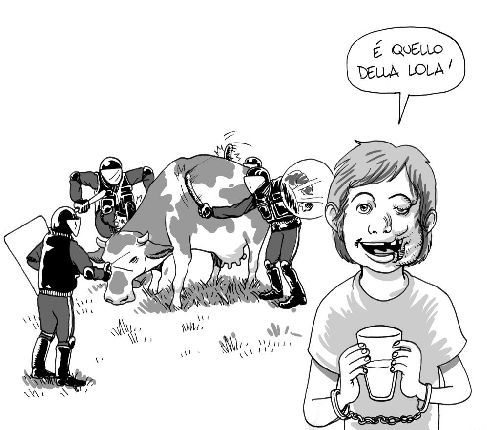 Quello della Lola