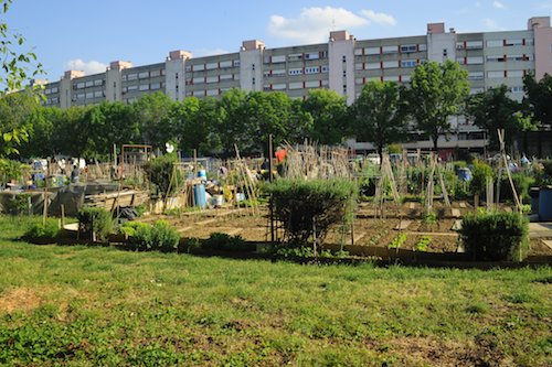 Il "Virgolone", simbolo del Pilastro - Foto di Martina Verona