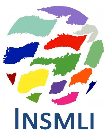 Logo INSMLI