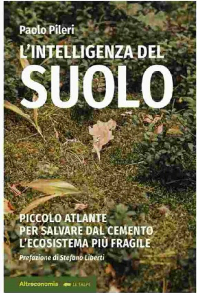 L’intelligenza del suolo