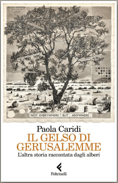 Il gelso di Gerusalemme