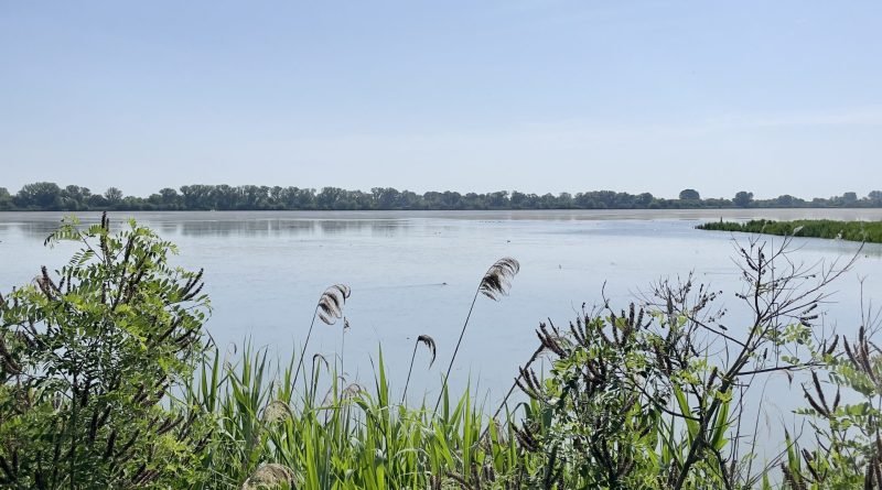 Le valli di Campotto, dove si svolgono capitoli cruciali de Gli uomini pesce