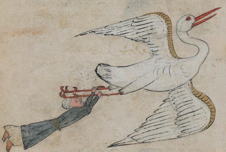 viaggiatore tratto in salvo dal grande uccello