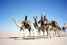 forty nights in the desert